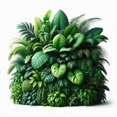 Vibrant and diverse, a vast array of tropical plants thrives in shades of green, boasting delicate flowers and lush leaves