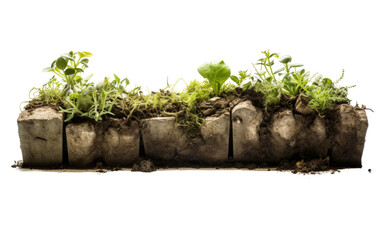 Storm Water Infiltration Trench With Small Plants on White or PNG Transparent Background.
