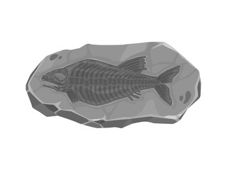 Ancient fish fossil imprint in stone. Prehistoric era aquatic life stone fossil, ocean, sea or river fish skeleton bones archaeological find, paleontology science animal body rock imprint © Vector Tradition