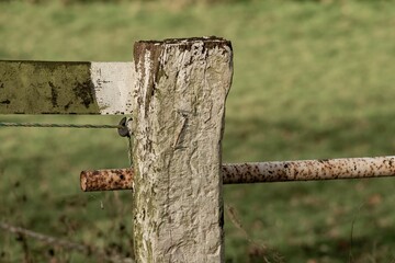 rough old wooden post for pasture fence - obrazy, fototapety, plakaty