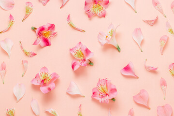 Floral background, pink petals and flowers backdrop top view. Flower pattern for design, branding or print.