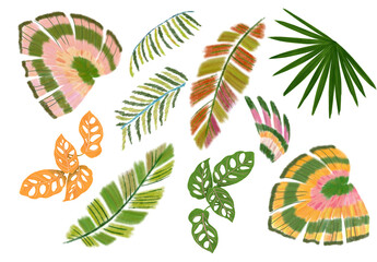 colorful tropical set isolated elements flowes and plants branches artsy watercolor gouache handrawn digital illustration cashew monstera leaf feather parrot palm pink embroidery leaves abstract - obrazy, fototapety, plakaty