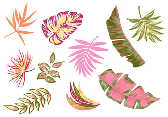 Fototapeta na wymiar handpainted illustration abstract tropical nature jungle colorfull summer leaves and flowers palm leaf monstera watercolor gouache style isolated elements white background pink green yellow orange