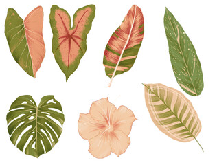 leaves and flowers for pattern surface design digital illustration green and pink summer drawing handmade tropical