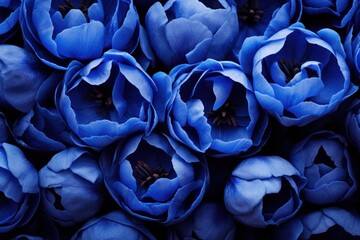  a group of blue flowers sitting next to each other on top of a pile of other blue and white flowers.