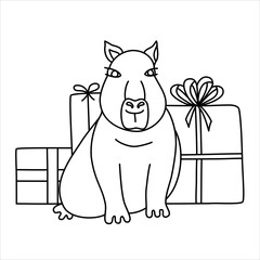 Vector line illustration of a funny capybara with presents. 
