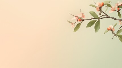 Tree branch and green leaves on pastel peach background with text space,