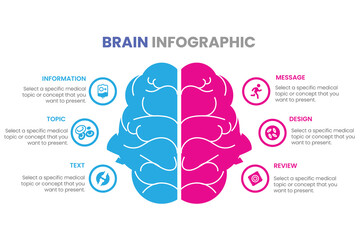 Brain structure left analytical and right creative hemispheres infographics set vector illustration - obrazy, fototapety, plakaty