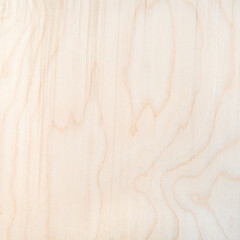square textured natural birch plywood sheet with wooden pattern
