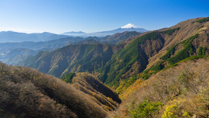 富士山と紅葉