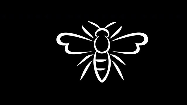 Linear bee graphic animation. Alpha channel. Line honeybee on transparent background motion design. 4K resolution