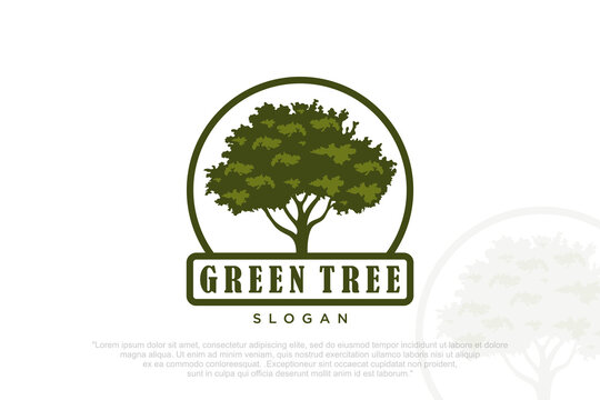 Oak tree logo . Design silhouette of a tree . Vector illustration