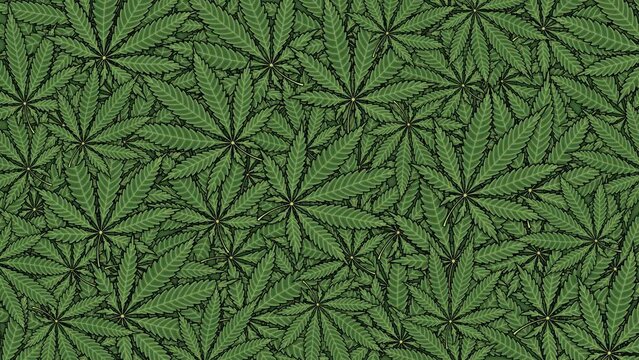 Cannabis leaves illustration fills the green gradient background. Cartoon animation marijuana texture pattern design template art blank