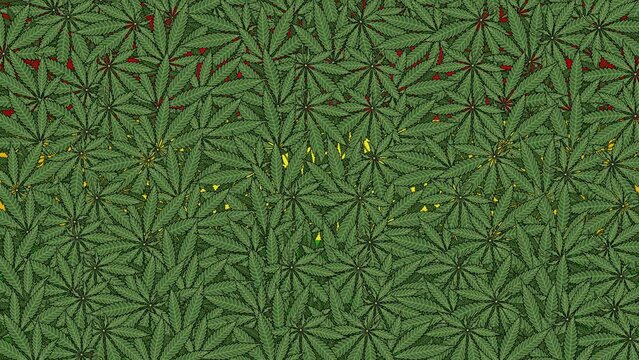 Cannabis leaves illustration fills the rasta flag background. Cartoon animation marijuana texture pattern design template art blank