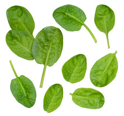 leaves of fresh green spinach are isolated 