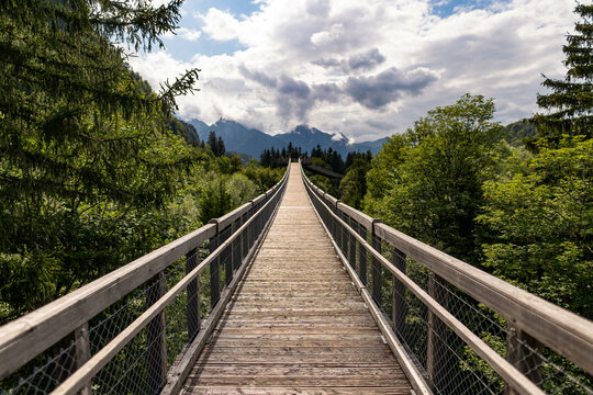 Straight ahead on a suspension bridge next to the treetops