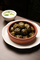 Delicious dolma, stuffed grape leaves with lamb meat.