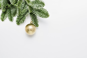 Merry Christmas and Happy New Year. Christmas evergreen spruce noble fir tree and golden ball on...