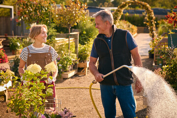 Mature Man And Woman Working Outdoors In Garden Centre Watering Plants
