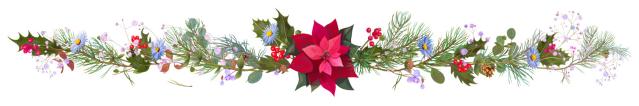 Panoramic view with red poinsettia flower (New Year Star), blue daisy, pine branches, cones, holly berry. Horizontal border for Christmas, white background. Realistic illustration in watercolor style
