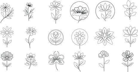 手描きのミニマリストな花のラインアートコレクション。モノクロの植物のイラストは、エレガントな招待状、グリーティングカード、プリント、ポスター、パッケージに最適。詳細な花と葉の輪郭、白黒のアートワーク。自然の美しさをシンプルに、ベクターグラフィック - obrazy, fototapety, plakaty