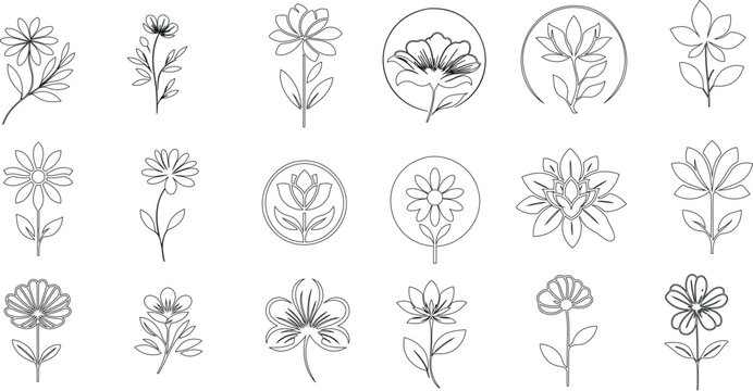 手描きのミニマリストな花のラインアートコレクション。モノクロの植物のイラストは、エレガントな招待状、グリーティングカード、プリント、ポスター、パッケージに最適。詳細な花と葉の輪郭、白黒のアートワーク。自然の美しさをシンプルに、ベクターグラフィック