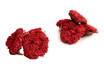 Dried pomegranate flower isolated on a white background.