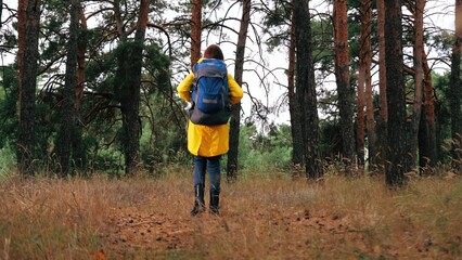 Woman hiker full of curiosity explores forest path surrounded by pine trees. Traveller revels in...