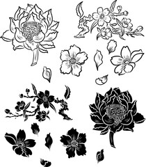 Hand drawn lotus flower isolate vector set.Hand drawn romantic beautiful line art of Lotus.Free hand Sakura flower vector set, Beautiful line art Peach blossom isolate on white background.