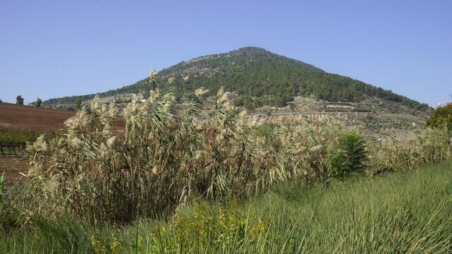 Mount Tabor in the Galilee, Israel, where the Church of Transfiguration is located