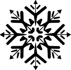 Snowflake icon on a white background