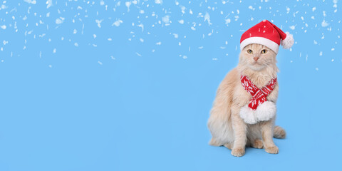 Cat wearing red Santa Claus hat. Christmas cat. Santa's helper. Ginger Cat with Santa hat on blue background. Happy New Year 2024. Celebration. Holiday concept. Web banner. Copy space.  Snow