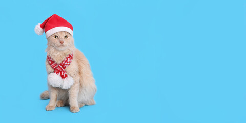 Cat wearing red Santa Claus hat. Christmas cat. Santa's helper. Ginger Cat with Santa hat on blue background. Happy New Year 2024. Celebration. Holiday concept. Web banner. Copy space.  Snowflakes  
