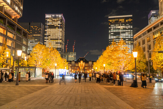 東京駅行幸通りの夜景　秋のイチョウ並木　Night view of Tokyo Station Gyoko-dori, lined with ginkgo trees in autumn