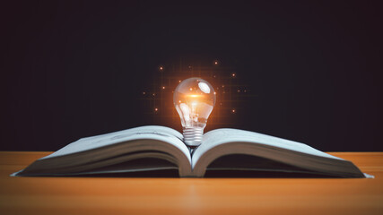 Educational knowledge and business education ideas, glowing light bulb on a book, Inspiring from...