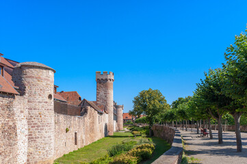 Fototapete bei efototapeten.de bestellen   