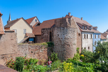 Fototapeta na wymiar Teil der historischen Stadtmauer entlang der Straße Rem Marechal Joffre in Obernai. Departement Bas-Rhin in der Region Elsass in Frankreich