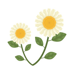 flower illustration