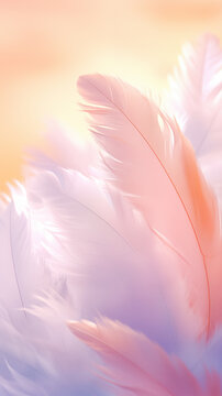 Colorful feathers background in various shades of white, pink, and orange, creating a visually appealing and gentle aesthetic. The feathers are in soft focus, adding to the dreamy and ethereal