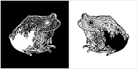  Illustration vector graphics of frog icon
