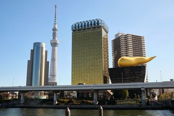 Fototapeta na wymiar Tokyo city and skytree