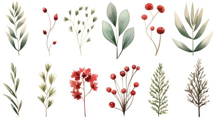 Watercolor Christmas floral element set. Winter greenery clipart for greeting card. Fir branches, red berries, eucalyptus leaves, pine coin - obrazy, fototapety, plakaty