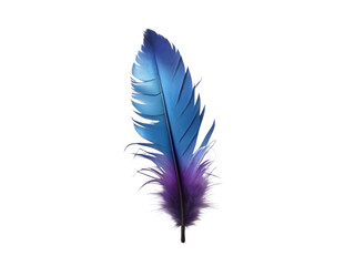 Blue purple feather isolated on white background