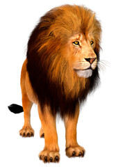 3D Rendering Male Lion on White