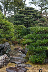 Japanese garden in kyoto