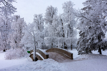 Winter in Catherine park, Tsarskoe Selo (Pushkin), Saint Petersburg, Russia