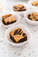 Chocolate fudge with peanut butter swirl