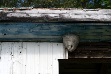 A bee hive under a shack roof