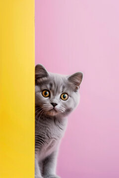 Generative AI image of a curious cat peeking around a corner
