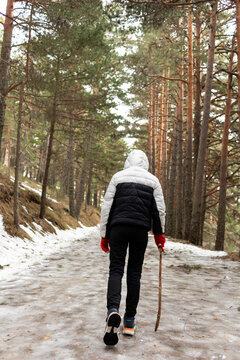 Teenage girl walking on a snowy trail surrounded by pine trees